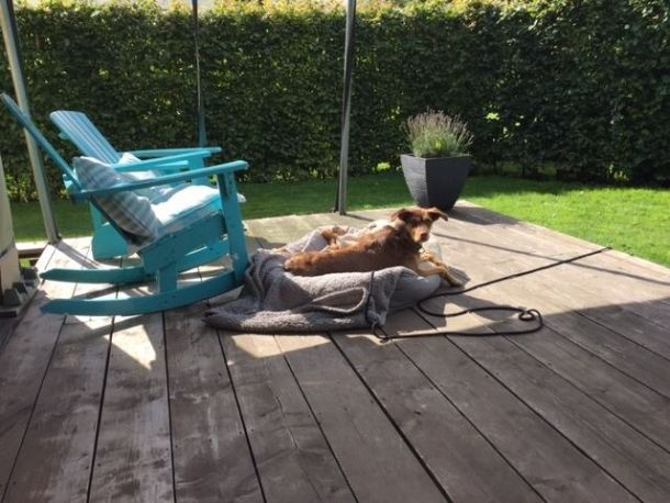 20769961 1541560382554346 n